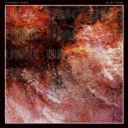 In my arms - Cameron Segal