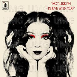 Not Like I&rsquo;m In Love With You - Lauren Weintraub