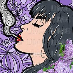 FLIEDER - SHINSKY x DIMA