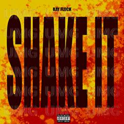 Shake It - Kay Flock