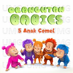 5 Anak Comel - Orangutan Babies