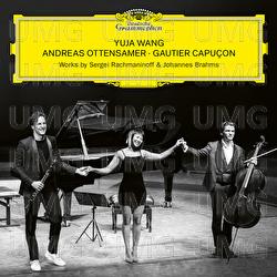 Brahms: Clarinet Trio in A Minor, Op. 114: I. Allegro