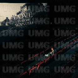 No Love Is Ever Wasted - Zach Zoya