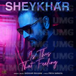 Is This That Feeling - Shekhar Ravjiani