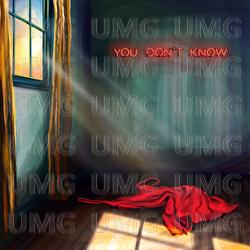 you don't know - Virginia To Vegas