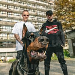 SMIECI WYWOZ - Tromba, Bomba KRK, Zeju POG