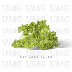 Eat Your Salad - Citi Zēni