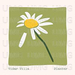 Planter - Vidar Villa