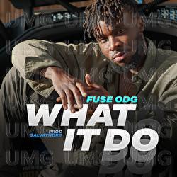 What It Do - Fuse ODG