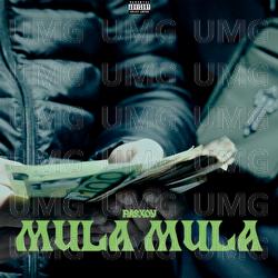 MULA MULA - RASXOY