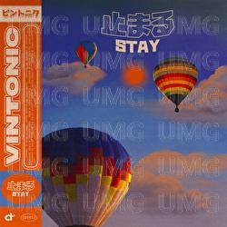 Stay - Vintonic