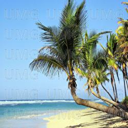 Decompress Together - Relaxing Spa Music