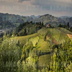 Every One Need Space - Soul Healer