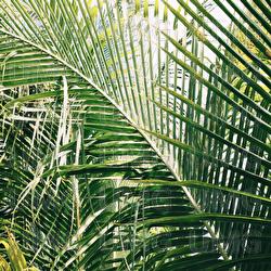 Midsummer 00s - Soul Healer