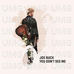 You Don't See Me - Joe Buck