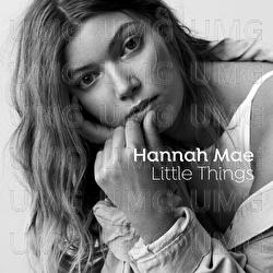 Little Things - Hannah Mae