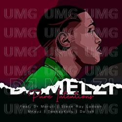 Pure Intentions - DJ Melzi, Dr Moruti, Steve Ray Ladson