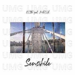 Sensibile - ELSO, Molla