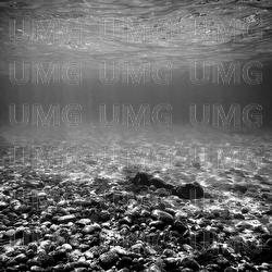 Undersea - Francesco Nigri
