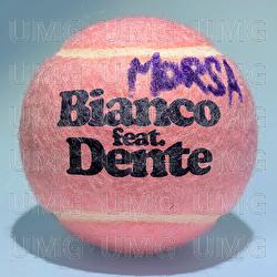 Morsa - Bianco, Dente