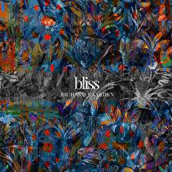 Bliss - Richard J Aarden