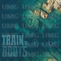 Pro Tie - Train To Roots
