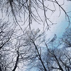 Notturno Invernale - Sans Fil