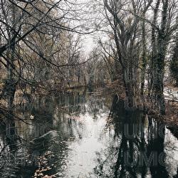Sul ruscello - Sans Fil