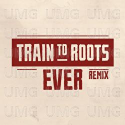 Ever - Train To Roots