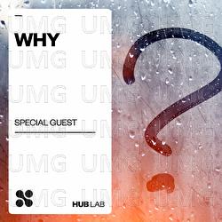 Why - Special Guest