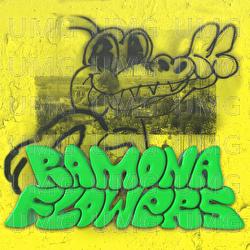 Ramona Flowers - Alvaro Diaz