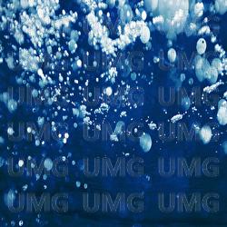 Les Pieds Dans L'eau - Isabelle Pavard