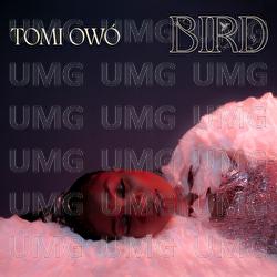 Bird - Tomi Owó