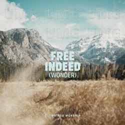 Free Indeed (Wonder)