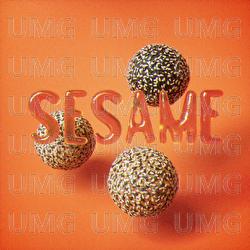 SESAME - Llwyd