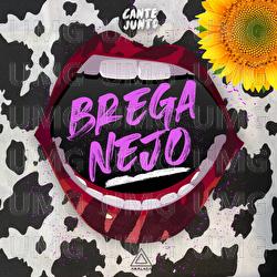 Breganejo (Cante Junto) - Analaga