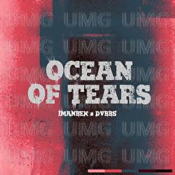 Ocean Of Tears - Imanbek, DVBBS