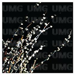 Willow Song - Isabelle Pavard