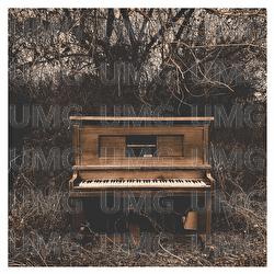 Simple Things - Nel Swerts