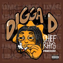 Chief Rhys - Digga D