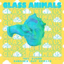 Hot Sugar - Glass Animals, Washed Out