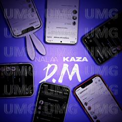 DM - Nalaa, Kaza