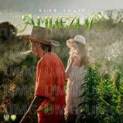 Amnezija - Alen Sakić