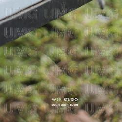 Cuan Cuan Cuan - W2N STUDIO