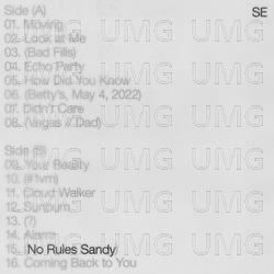 No Rules Sandy - Sylvan Esso