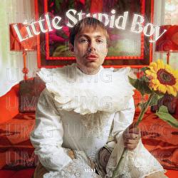 Little Stupid Boy - ARAI