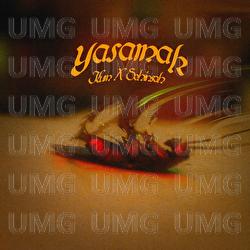 Yasamak - Kum, Şehinşah