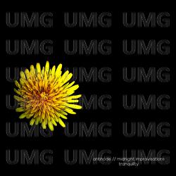 Midnight Improvisations // Tranquility - antinode