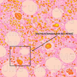 Shotgun - Soccer Mommy, Magdalena Bay