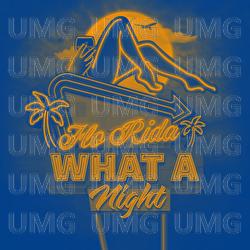 What A Night - Flo Rida, Tom Martin